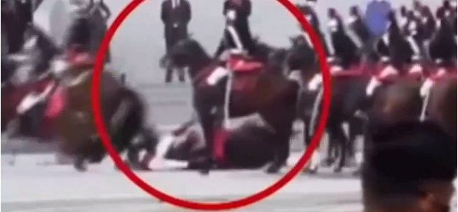 阿根廷付不了款？法國多地爆發(fā)大規(guī)模抗議！港德班港陷入癱瘓停擺！多個(gè)港口關(guān)閉！物流或大面積延誤！
