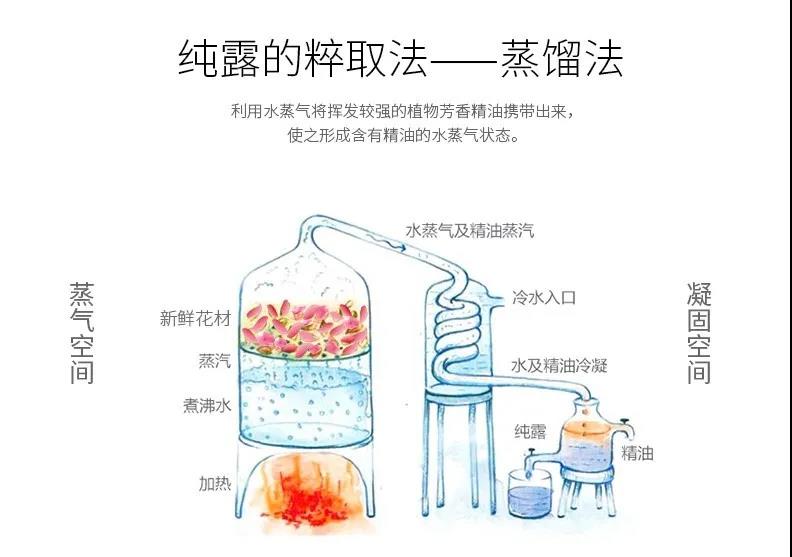 解讀 | 一篇搞懂 “純露” 進口那些事兒