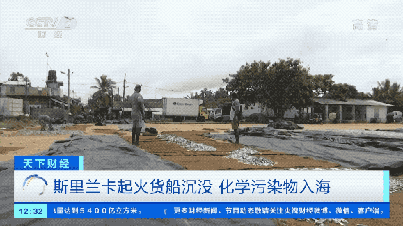 嚴重海難，貨船沉沒！81個危險品集裝箱入海！影響或持續(xù)十年