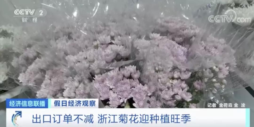 這種植物零售價翻倍！出口國外走俏！這種進口水果價格卻降了！