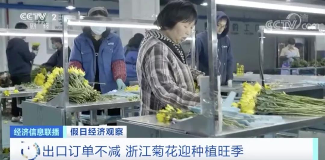 這種植物零售價翻倍！出口國外走俏！這種進口水果價格卻降了！