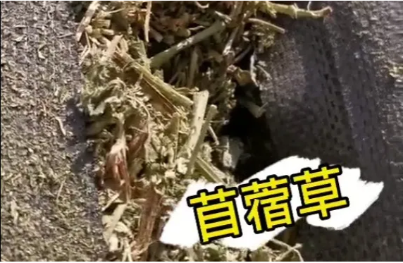 貨代貨主注意！海關(guān)嚴(yán)查，嚴(yán)禁空箱夾帶！