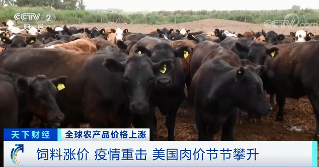 高粱大漲82.1％、玉米大漲45.5%！全球糧食危機(jī)風(fēng)險(xiǎn)加劇