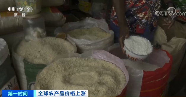 高粱大漲82.1％、玉米大漲45.5%！全球糧食危機(jī)風(fēng)險(xiǎn)加劇