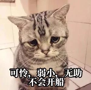 預(yù)提費(fèi)落箱費(fèi)，天價(jià)運(yùn)費(fèi)再加雜費(fèi)！開(kāi)港晚截單早，心力交瘁等船到廢！