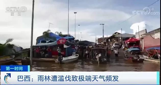 全球極端天氣頻發(fā)！“世界糧倉”告急，美國糧食庫存減少！海平面持續(xù)上漲，多城將無路可退…