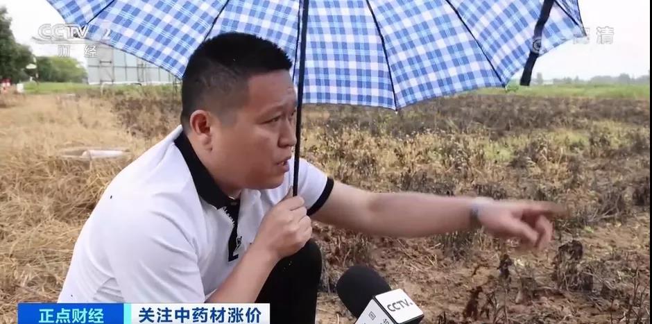 這貨大規(guī)模漲價(jià)！漲幅達(dá)200%！“有錢也拿不到貨”？！怎么回事？