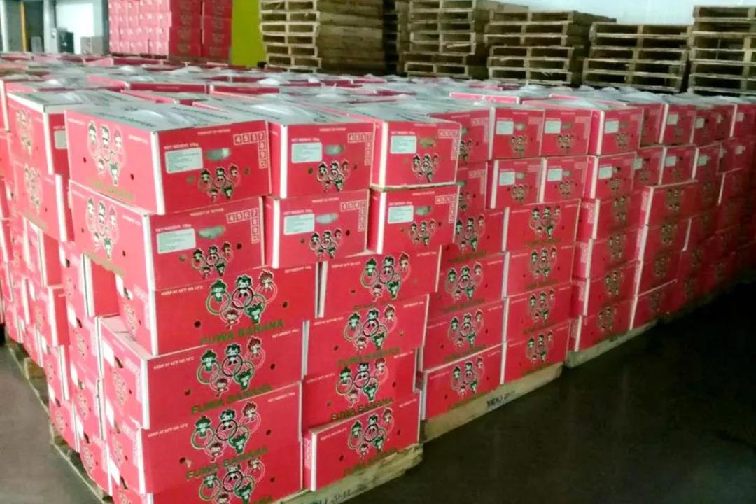 剛剛，多個(gè)集裝箱，5300多萬貨物在洛杉磯港口被查獲！