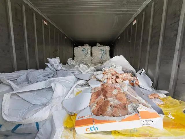 29個(gè)集裝箱！廣東海警破獲特大走私案，案值約6000萬元