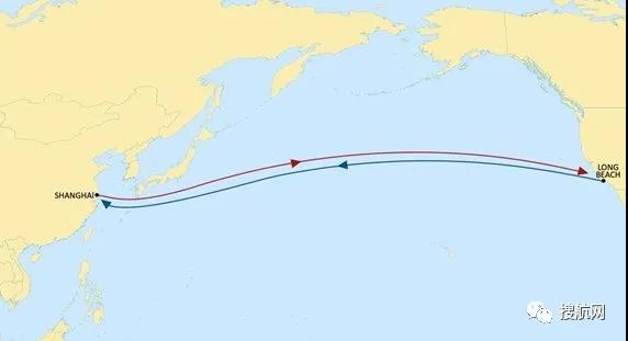 MSC推出兩項新跨太平洋服務(wù)，連接深圳/上海和長灘港