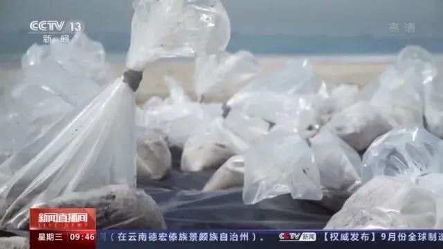 HPL箱船是“肇事者”？嚴(yán)重失職！瞞報(bào)近24小時(shí)，12小時(shí)無(wú)人阻止泄漏