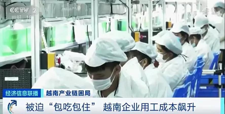 斷供！停產(chǎn)！日均倒閉400家企業(yè)！這里按下暫停鍵…