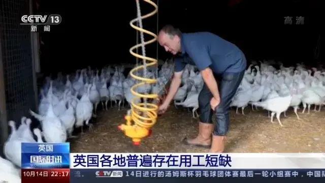 大量貨物堆積港口！這些地方，深陷供應鏈危機！