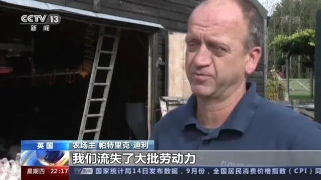大量貨物堆積港口！這些地方，深陷供應鏈危機！
