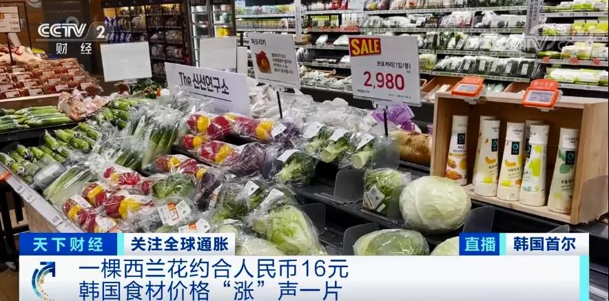 “漲”聲一片！一棵西蘭花賣到16元？