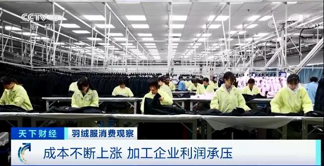 漲漲漲！這種原材料，50萬元一噸！漲幅高達(dá)102%！成本不斷上漲，加工企業(yè)利潤承壓！