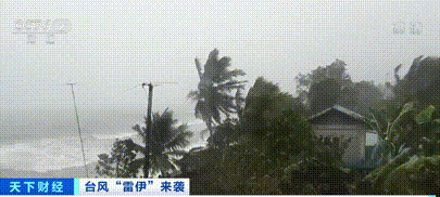 重磅突發(fā)！169人死亡！這個國家一地進(jìn)入災(zāi)難狀態(tài)，港口停止！