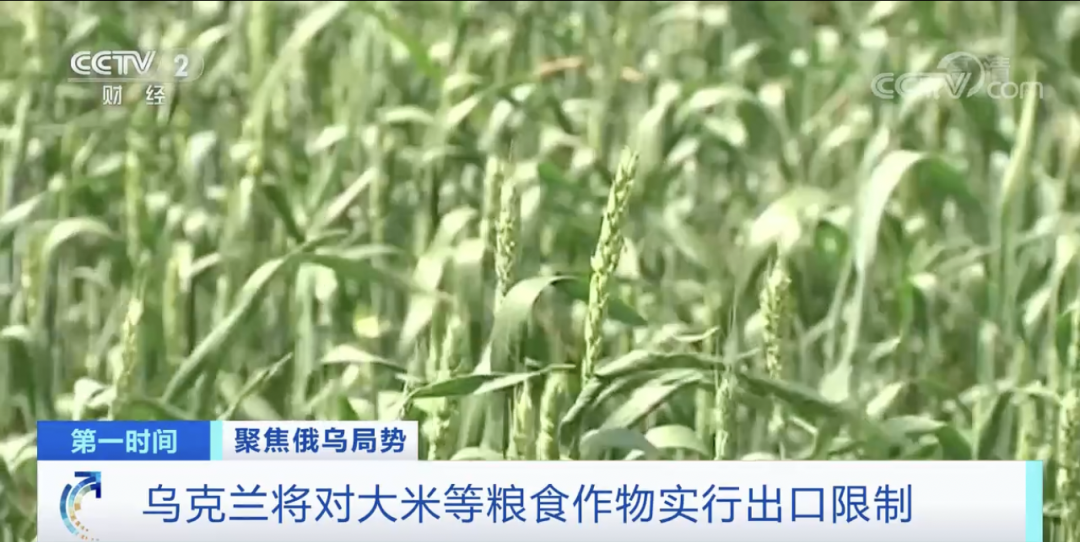 緊急！俄羅斯最大銀行又出事，一半的家庭儲(chǔ)蓄都存在這里！