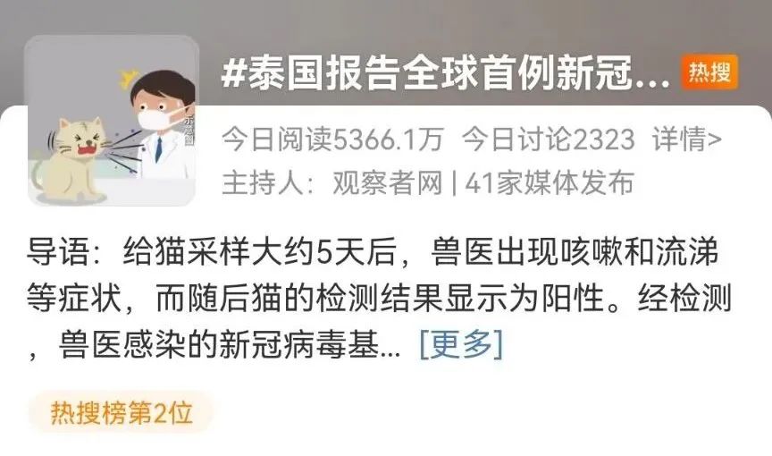 麻煩了！新冠貓傳人？？美國、法國、俄羅斯、新加坡、印度、韓國最新通報?。? data-filename=