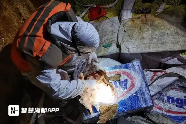 總案值約4000萬(wàn)元！福建海警破獲1起特大走私凍品案