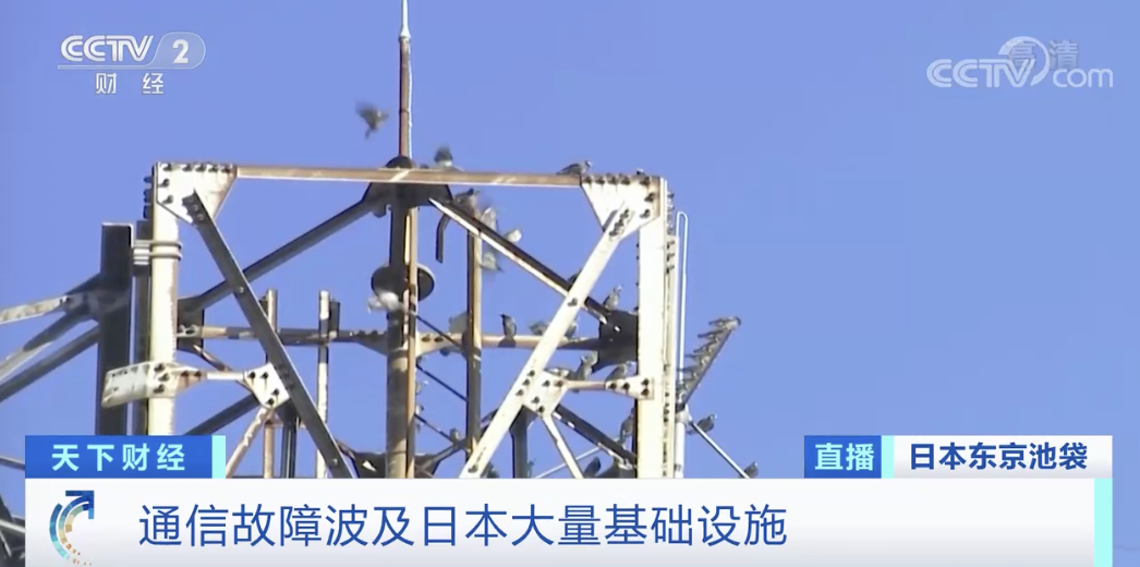 突發(fā)！該國發(fā)生大面積斷網(wǎng)：報警電話打不通、不能刷卡、不能取錢…數(shù)百萬人受影響