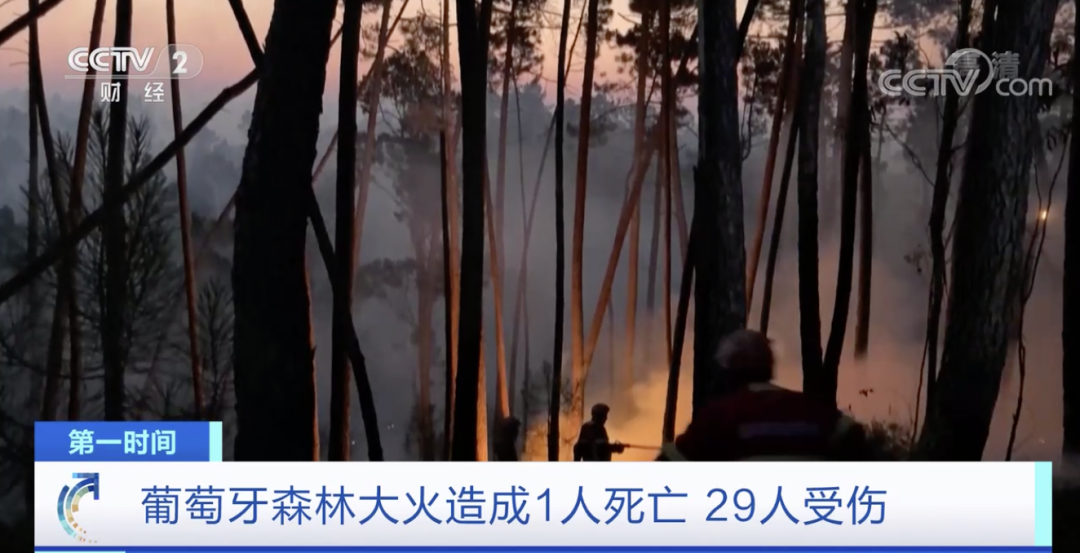 突發(fā)！這一國家宣布：多地進入緊急狀態(tài)！