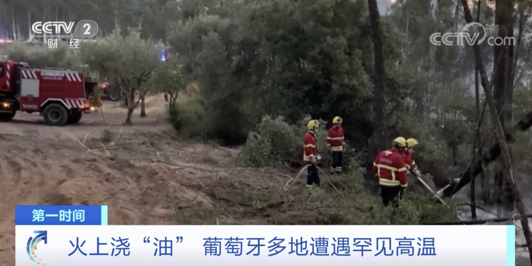 突發(fā)！這一國家宣布：多地進入緊急狀態(tài)！