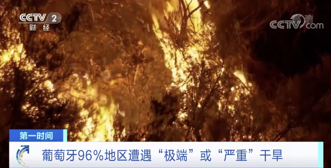 突發(fā)！這一國家宣布：多地進入緊急狀態(tài)！