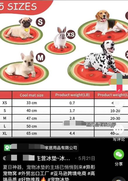 類目熱度暴增5倍，寵物消暑神器火了