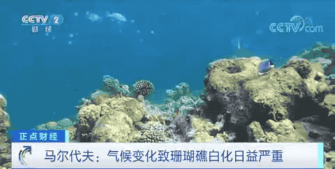 突發(fā)！這個國家出現(xiàn)不明原因肺炎，還有這幾個國家！