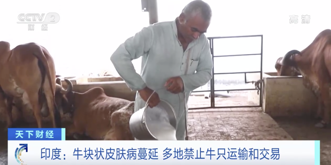 印度：禁止出口，禁止運輸交易