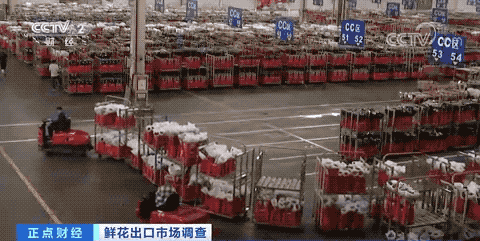 它，在國外賣爆了！