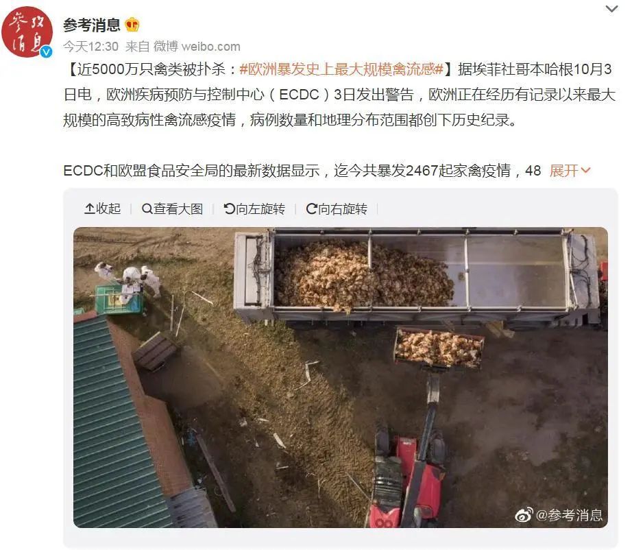 麻煩了！全球37個國家受影響