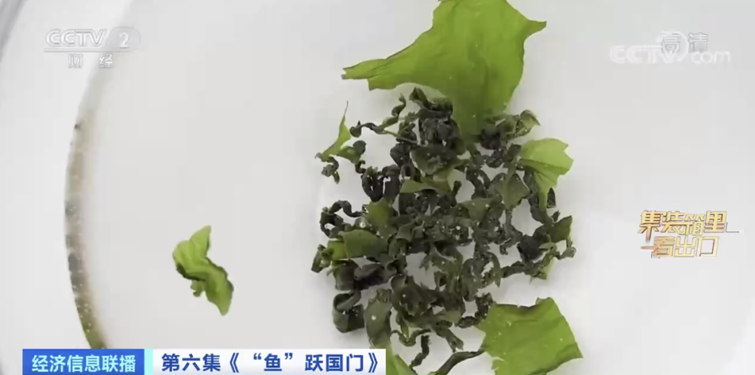 賣爆了！又一全球第一！