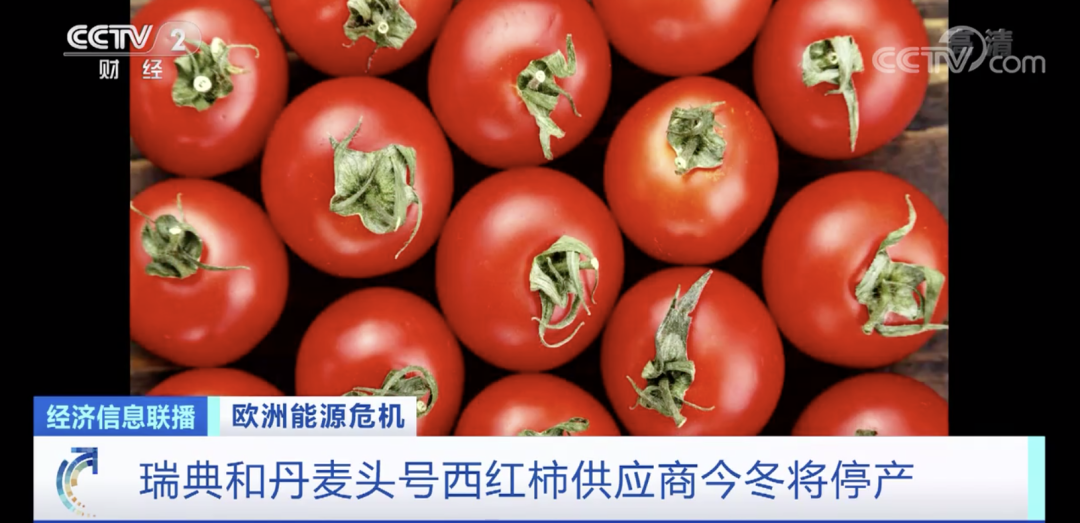 工廠面臨倒閉、關(guān)門、停產(chǎn)......