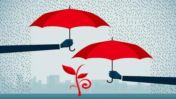 【關(guān)稅征管】滯納金減免政策及申請指南