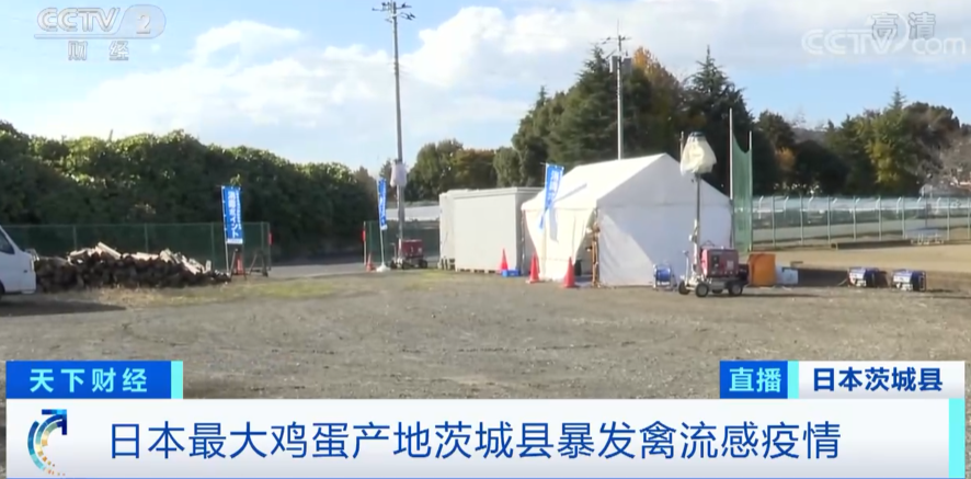 警報拉響！法國，荷蘭、西班牙、英國、日本......