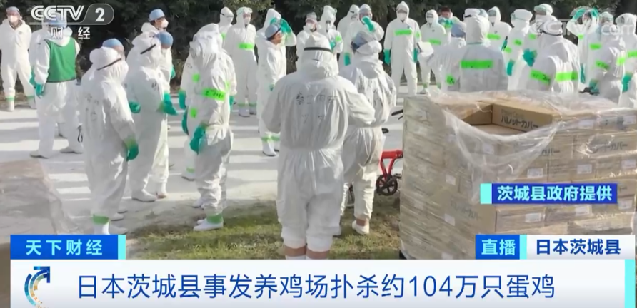警報拉響！法國，荷蘭、西班牙、英國、日本......