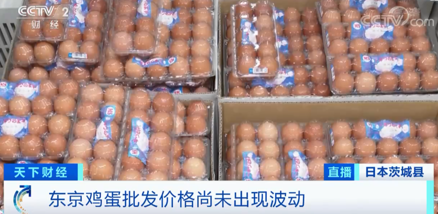 警報拉響！法國，荷蘭、西班牙、英國、日本......