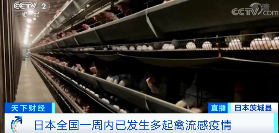 警報拉響！法國，荷蘭、西班牙、英國、日本......