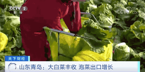 這個產(chǎn)品在韓國賣爆了！或?qū)⒄柬n國年需求量一半！