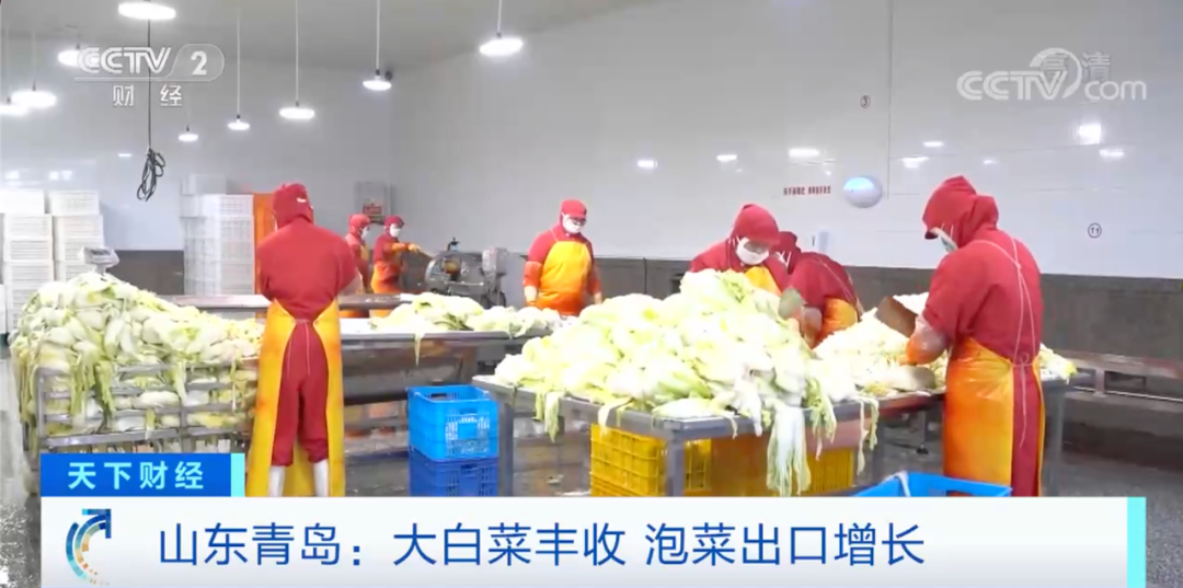這個產(chǎn)品在韓國賣爆了！或?qū)⒄柬n國年需求量一半！
