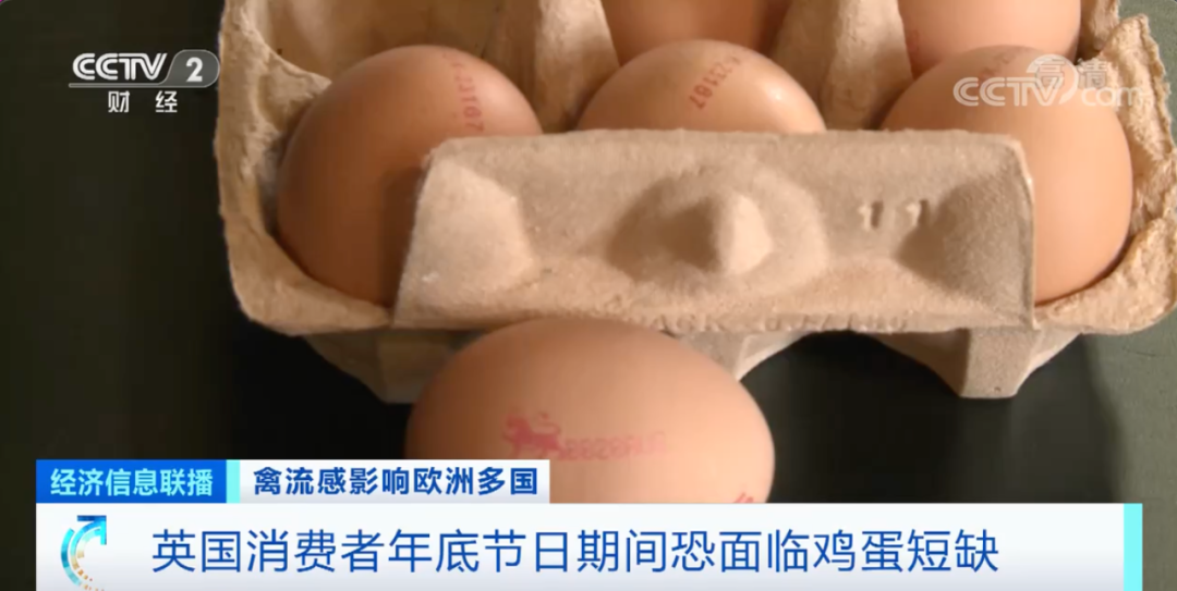 麻煩了！ “史上最嚴(yán)重”，近十個(gè)國(guó)家爆發(fā)禽流感！超過(guò)5230萬(wàn)只禽類被宰殺......