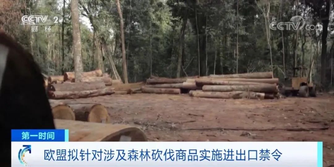 央視關(guān)注！這些商品，擬禁止進(jìn)出口歐盟國家！違者將面臨罰款