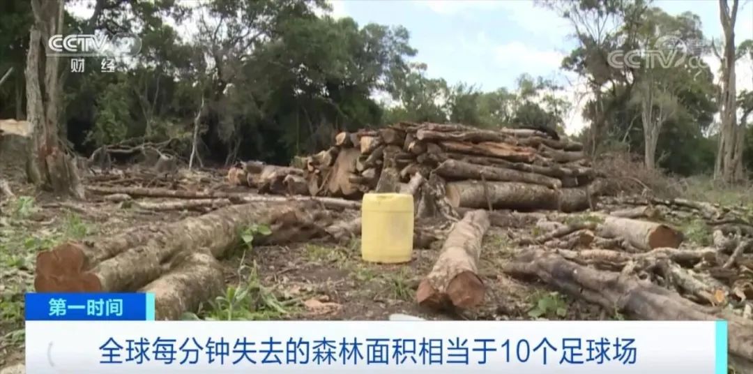 央視關(guān)注！這些商品，擬禁止進(jìn)出口歐盟國家！違者將面臨罰款