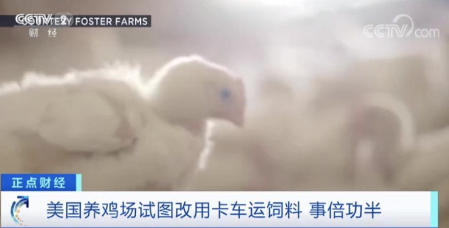 重磅突發(fā)！美國所有航班都已停飛！