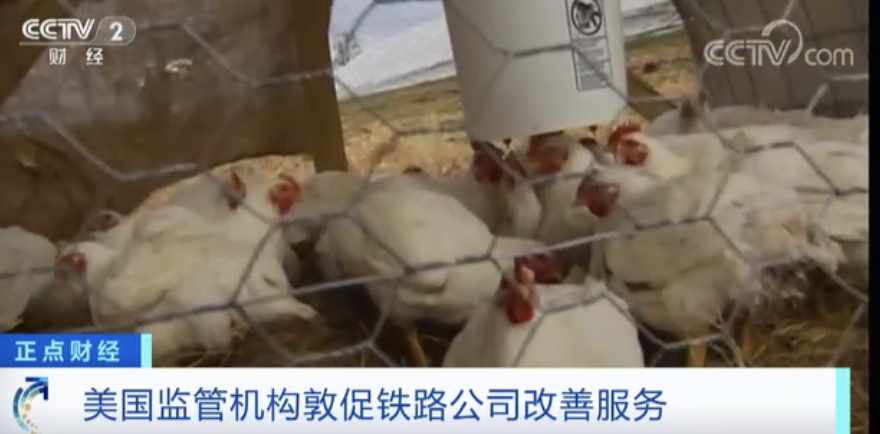 重磅突發(fā)！美國所有航班都已停飛！