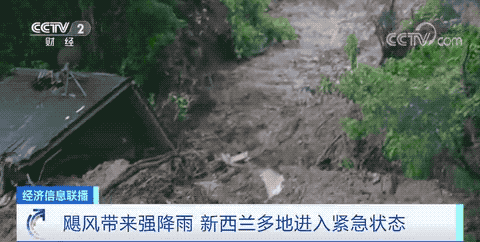 預(yù)警！取消所有客運航班和列車