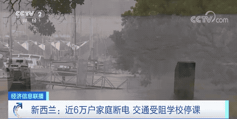 預(yù)警！取消所有客運航班和列車
