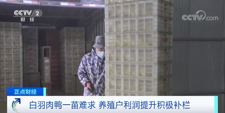 搶瘋了！漲價超300%，還得排一個月隊！